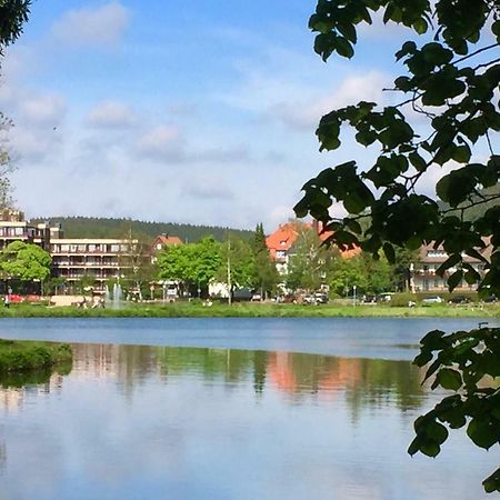 Seesicht Appartements Am Kranichsee Goslar Bagian luar foto