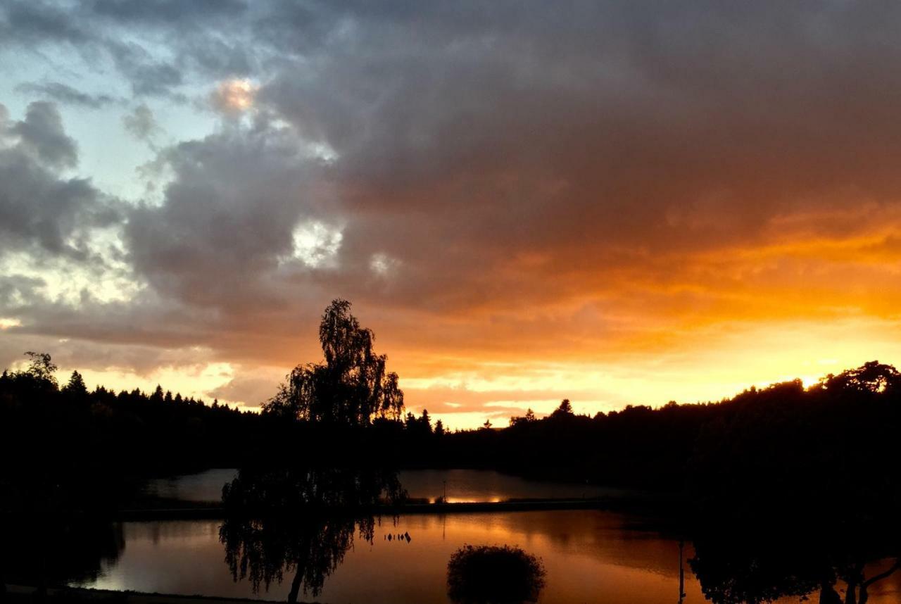 Seesicht Appartements Am Kranichsee Goslar Bagian luar foto