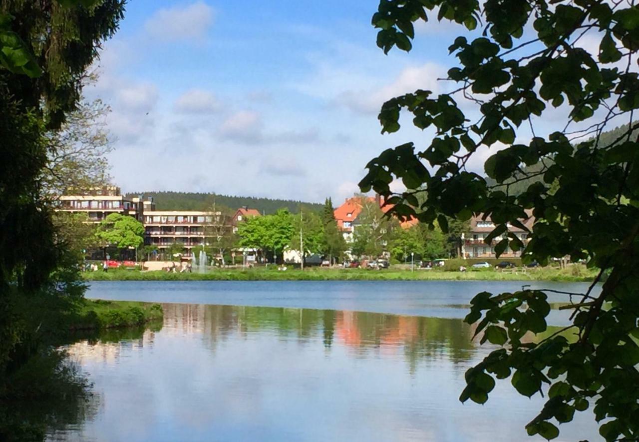 Seesicht Appartements Am Kranichsee Goslar Bagian luar foto