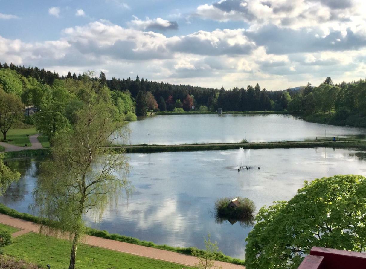 Seesicht Appartements Am Kranichsee Goslar Bagian luar foto