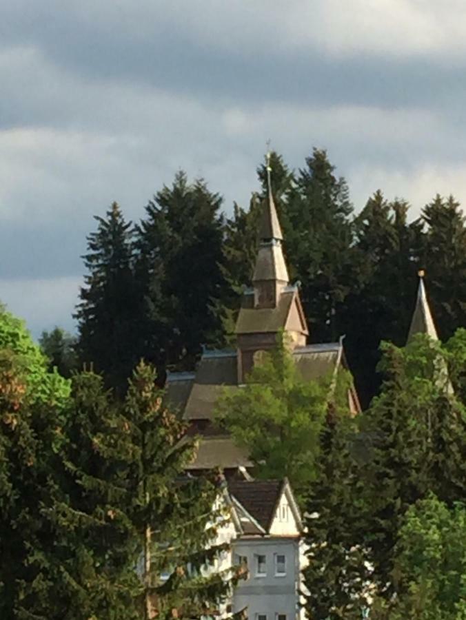 Seesicht Appartements Am Kranichsee Goslar Bagian luar foto