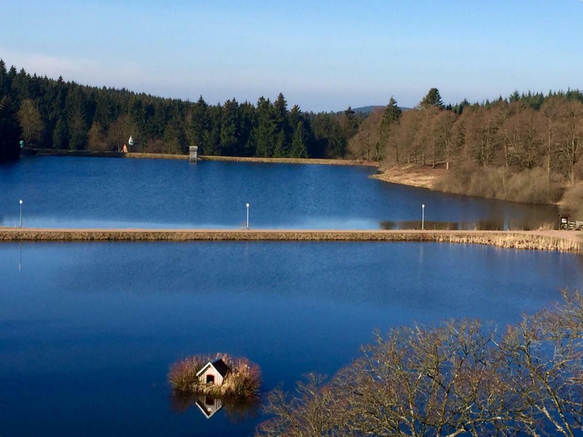 Seesicht Appartements Am Kranichsee Goslar Bagian luar foto