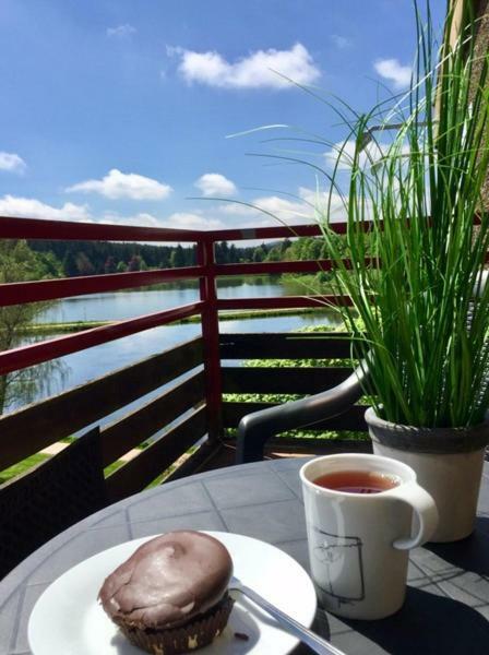 Seesicht Appartements Am Kranichsee Goslar Bagian luar foto