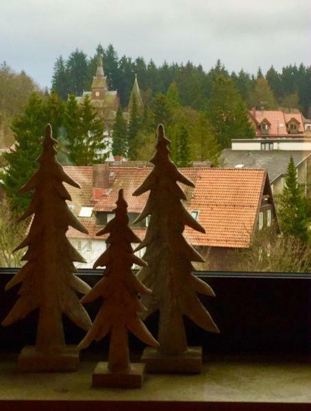 Seesicht Appartements Am Kranichsee Goslar Bagian luar foto