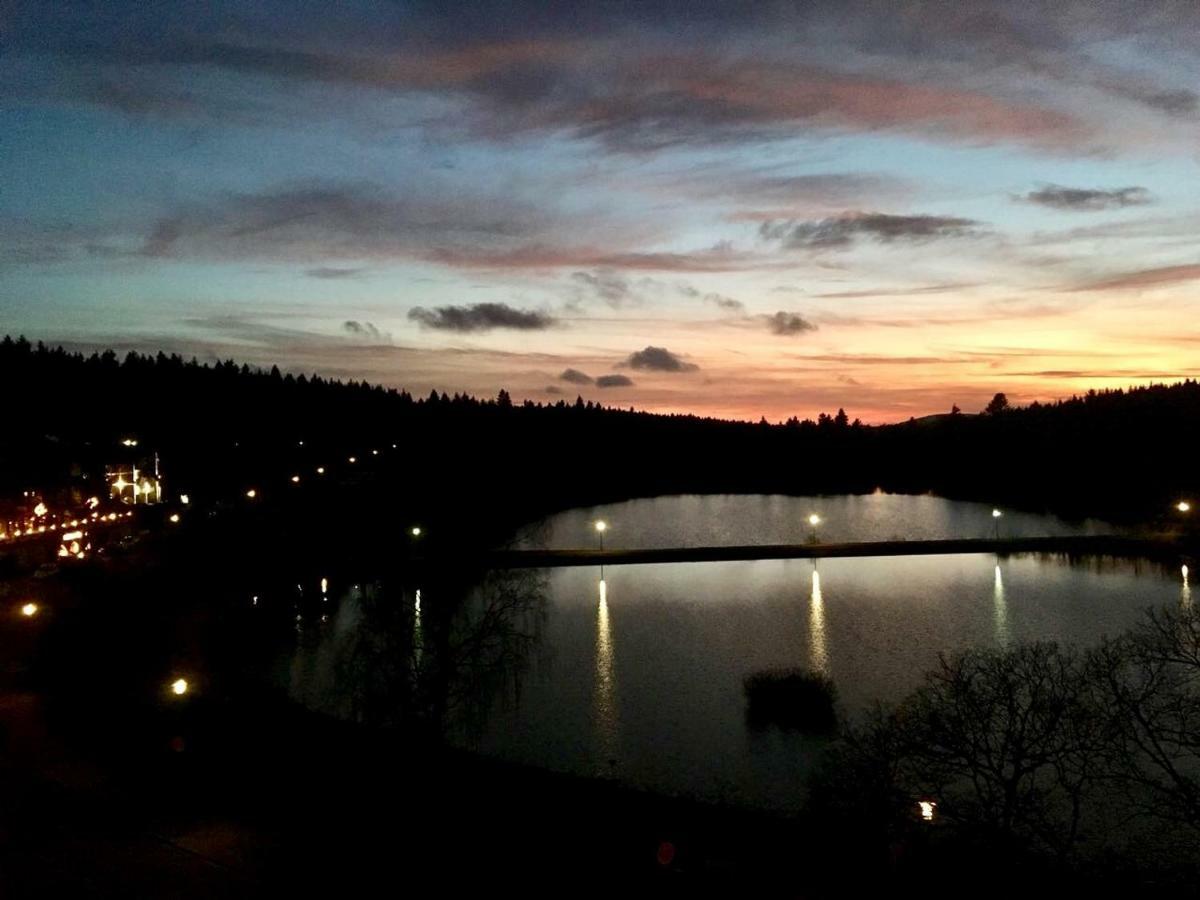 Seesicht Appartements Am Kranichsee Goslar Bagian luar foto