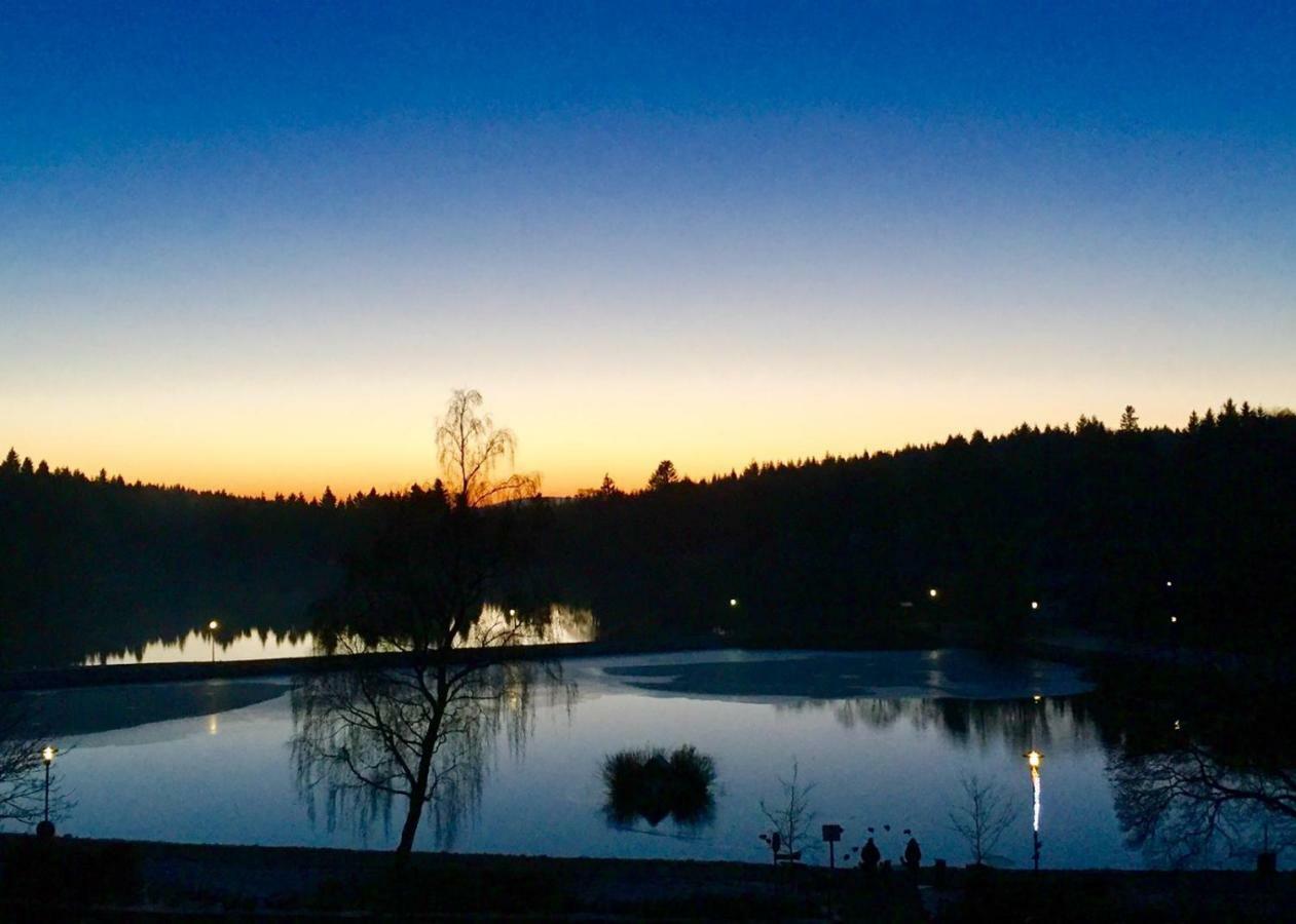 Seesicht Appartements Am Kranichsee Goslar Bagian luar foto